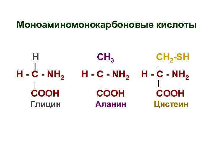 Моноаминомонокарбоновые кислоты H H - C - NH 2 СН 3 H - C