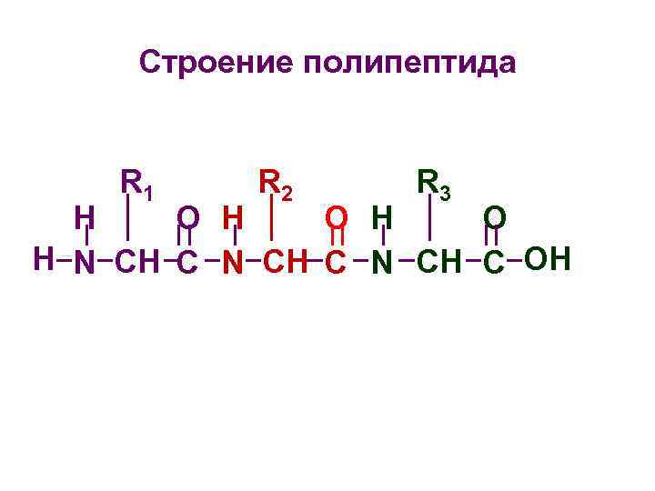 Строение полипептида R 1 R 2 R 3 H O H O H N