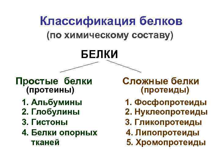 Классификация белков (по химическому составу) БЕЛКИ Простые белки (протеины) 1. Альбумины 2. Глобулины 3.