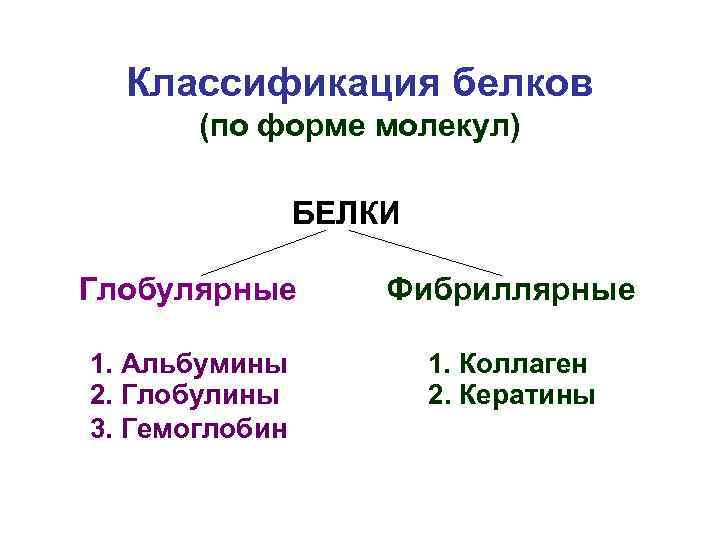 Классификация белков (по форме молекул) БЕЛКИ Глобулярные Фибриллярные 1. Альбумины 2. Глобулины 3. Гемоглобин