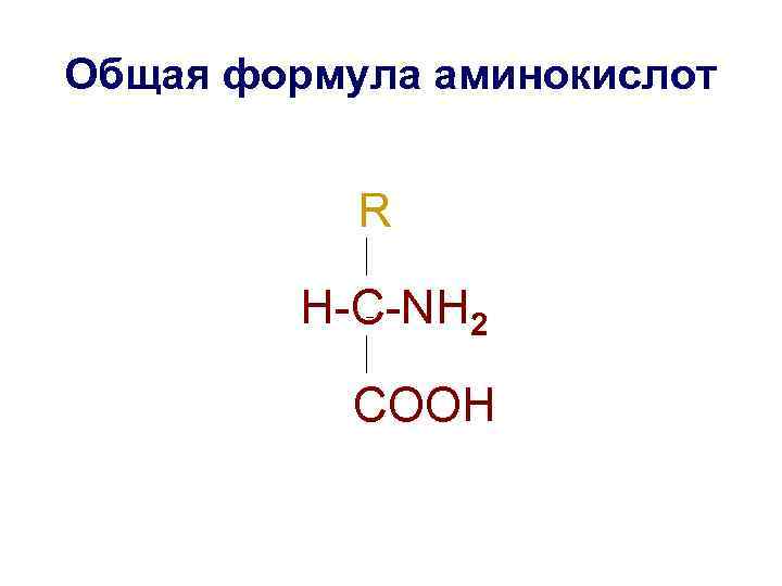 Общая формула аминокислот R H-C-NH 2 COOH 