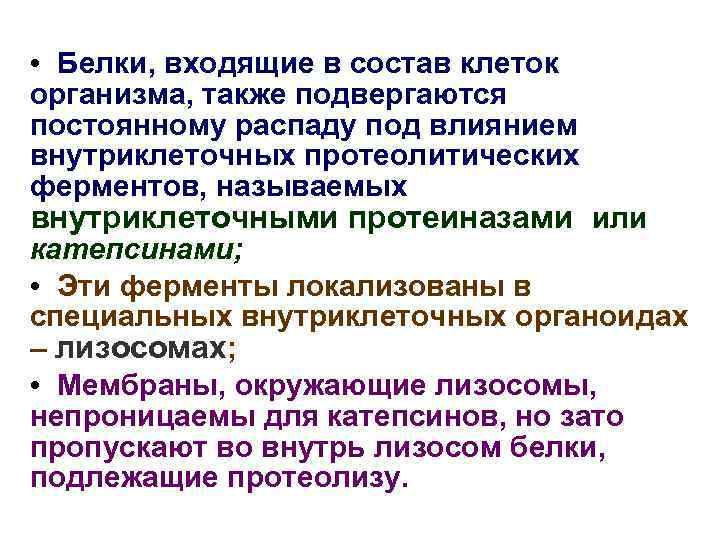  • Белки, входящие в состав клеток организма, также подвергаются постоянному распаду под влиянием