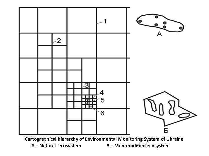 Cartographical hierarchy of Environmental Monitoring System of Ukraine A – Natural ecosystem B –