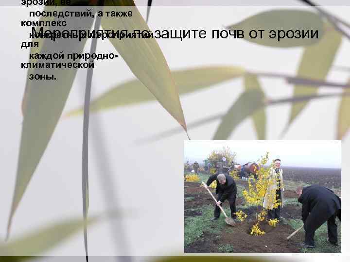 эрозии, ее последствий, а также комплекс конкретных мероприятий для каждой природно климатической зоны. Мероприятия