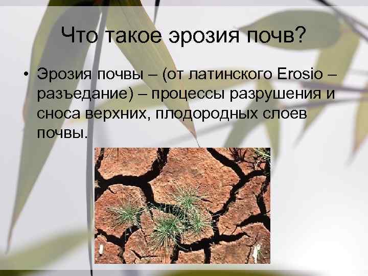 Эрозия почвы презентация