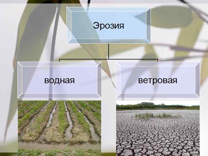 Эрозия водная ветровая 