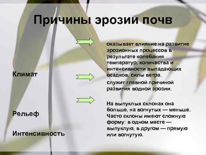 Причины эрозии почв Климат Рельеф Интенсивность оказывает влияние на развитие эрозионных процессов в результате