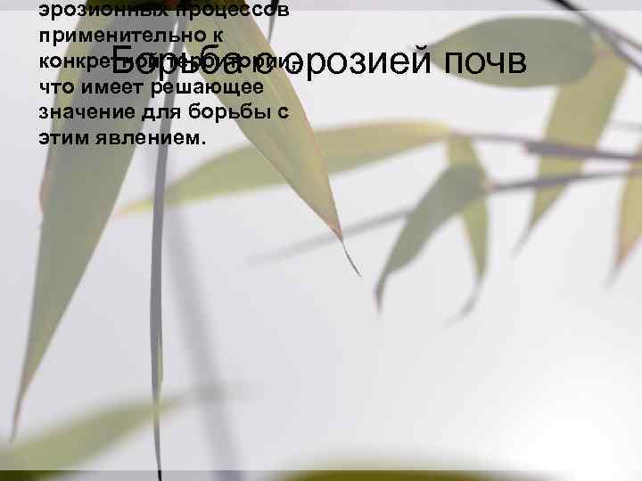эрозионных процессов применительно к конкретной территории, что имеет решающее значение для борьбы с этим