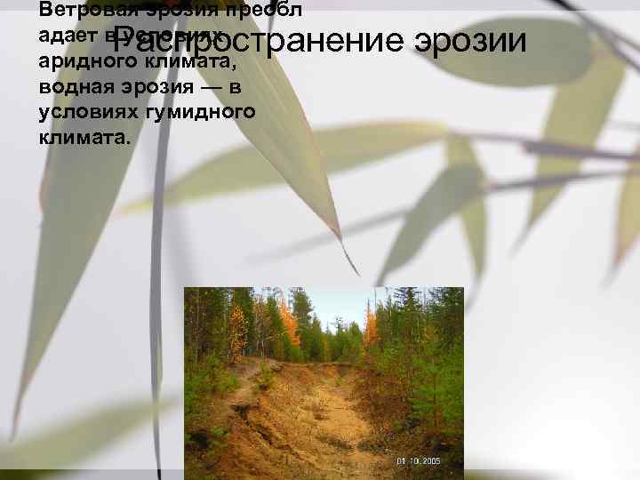 Ветровая эрозия преобл адает в условиях аридного климата, водная эрозия — в условиях гумидного