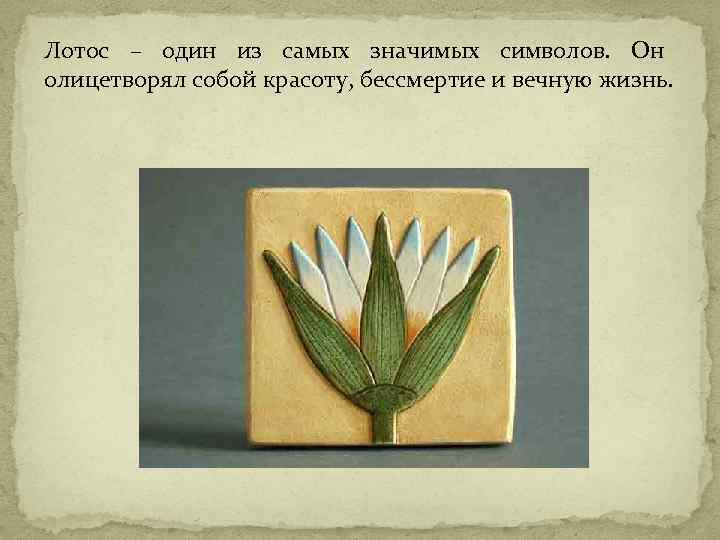 Лотос – один из самых значимых символов. Он олицетворял собой красоту, бессмертие и вечную