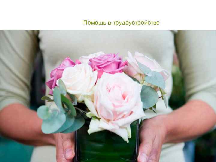 Помощь в трудоустройстве 