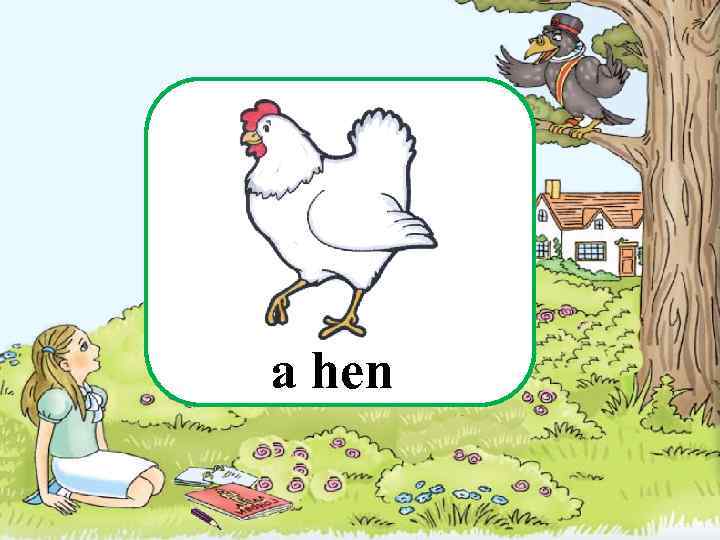 a hen 
