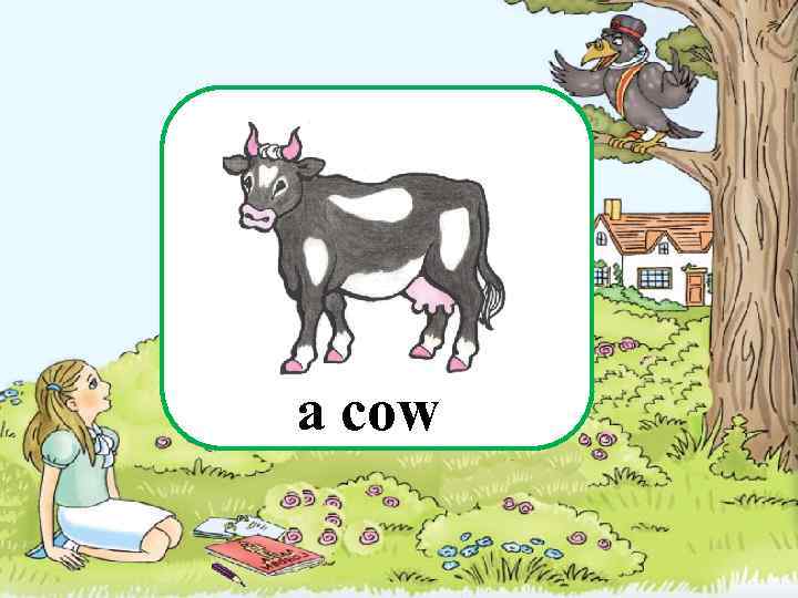 a cow 