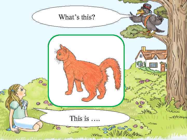 What’s this? This is …. 