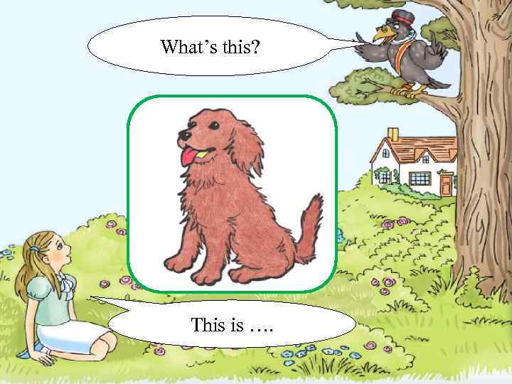 What’s this? This is …. 