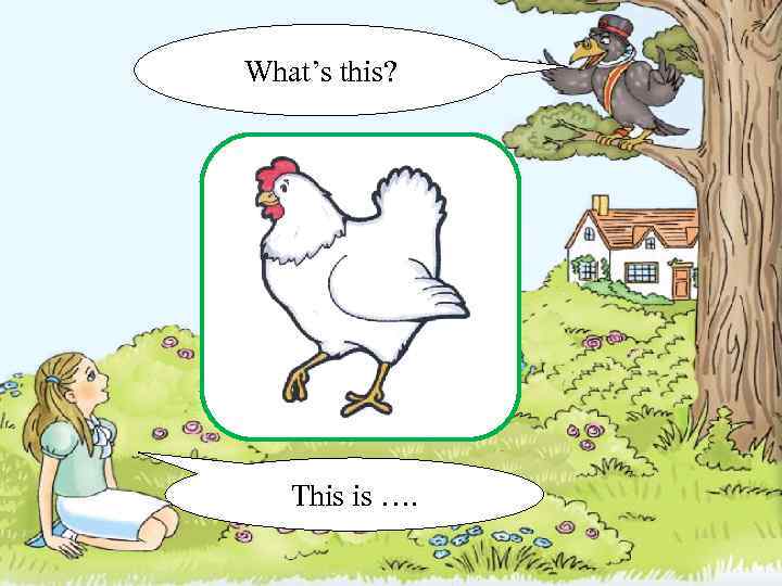 What’s this? This is …. 