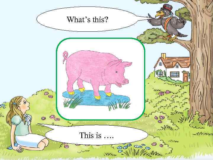 What’s this? This is …. 