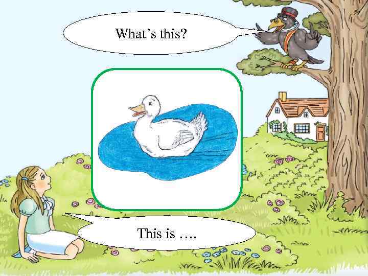 What’s this? This is …. 