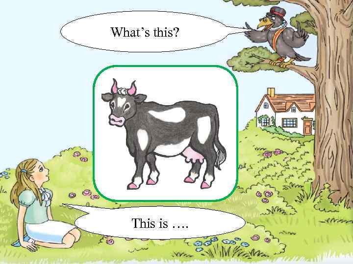 What’s this? This is …. 