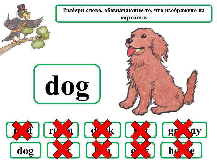 Выбери слово, обозначающее то, что изображено на картинке. dog roof room duck pig granny