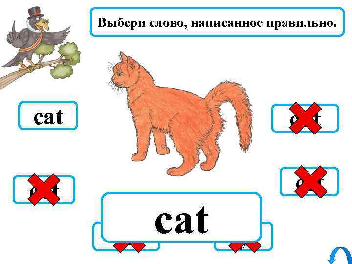 Выбери слово, написанное правильно. cat cut cot cet cit cat cyt 