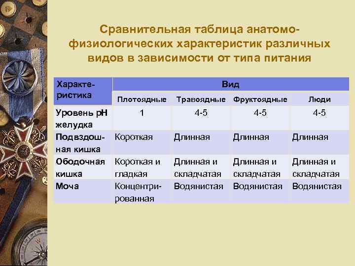 Сравнительная таблица анатомофизиологических характеристик различных видов в зависимости от типа питания Характеристика Уровень p.