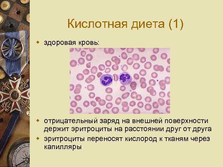 Кислотная диета (1) w здоровая кровь: w отрицательный заряд на внешней поверхности держит эритроциты