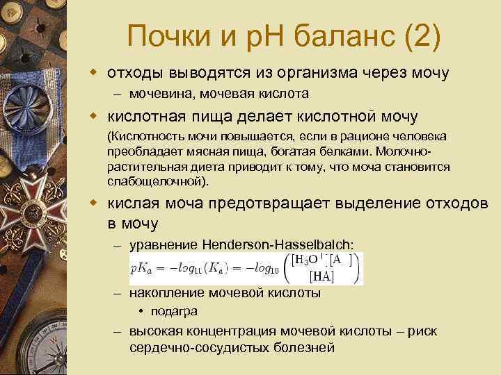 Почки и p. H баланс (2) w отходы выводятся из организма через мочу –