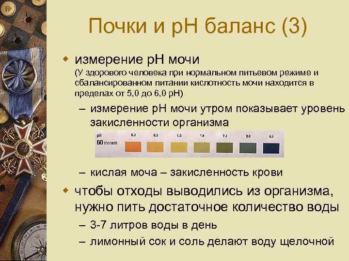 Почки и p. H баланс (3) w измерение p. H мочи (У здорового человека