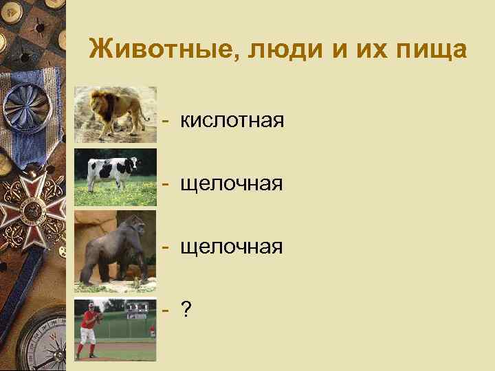Животные, люди и их пища - кислотная - щелочная - ? 