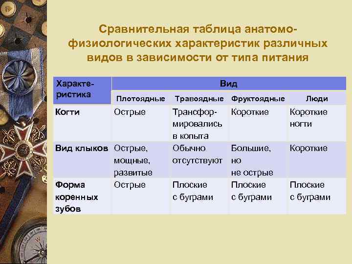Сравнительная таблица анатомофизиологических характеристик различных видов в зависимости от типа питания Характеристика Вид Плотоядные