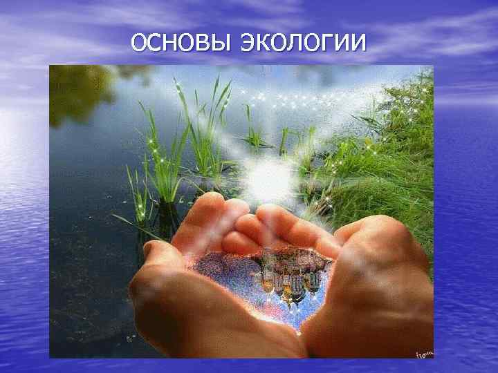 основы экологии 