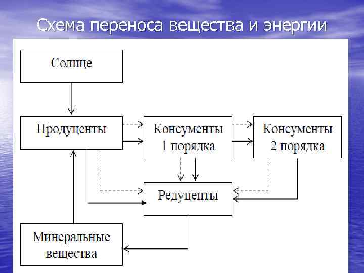 Схема переноса вещества и энергии 