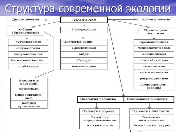 Структура современной экологии • Э. А. Паркс «Гигиена как наука преследует великую и благородную