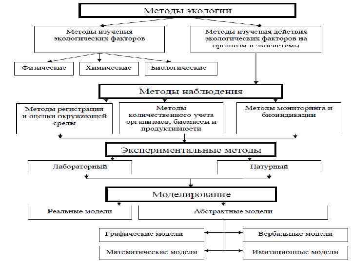 Методы экологии Общественная и личная Первичная-предотвращение возникновения заболевания путем устранения причины Вторичная – ранняя