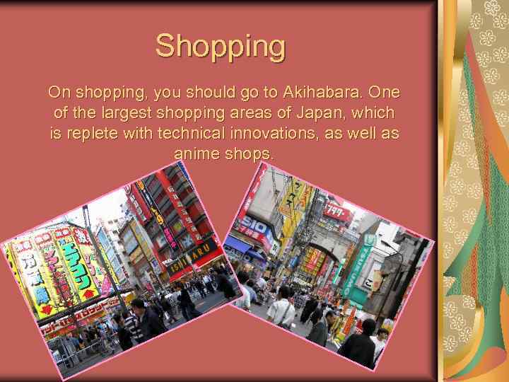 Shopping On shopping, you should go to Akihabara. One of the largest shopping areas