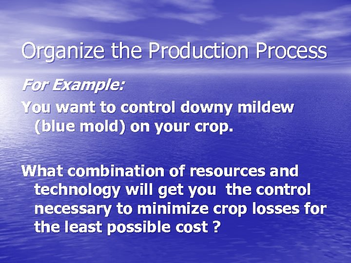 Organize the Production Process For Example: You want to control downy mildew (blue mold)
