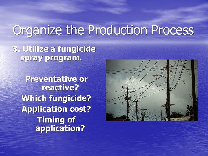 Organize the Production Process 3. Utilize a fungicide spray program. Preventative or reactive? Which