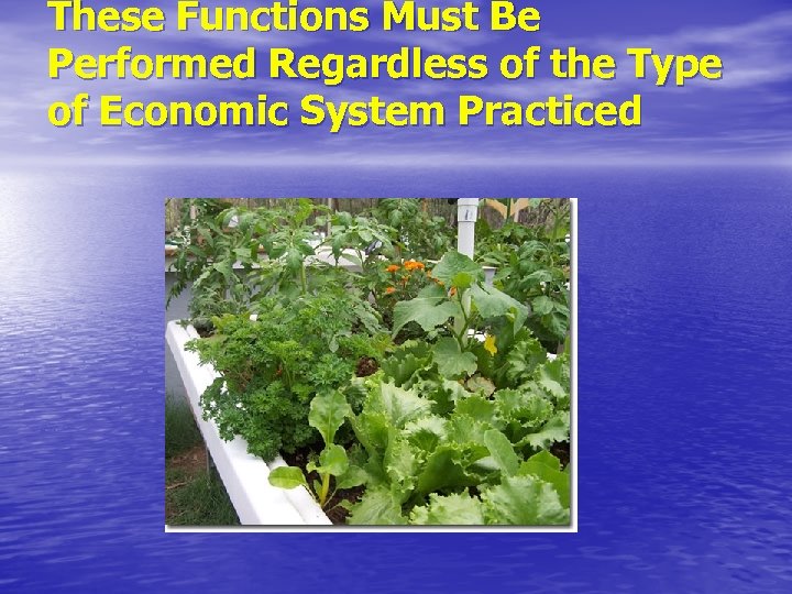 These Functions Must Be Performed Regardless of the Type of Economic System Practiced 