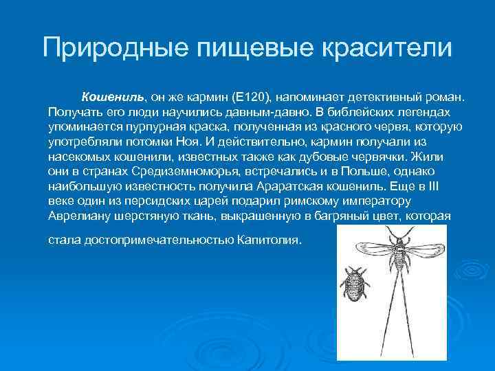 Природные пищевые красители Кошениль, он же кармин (Е 120), напоминает детективный роман. Получать его