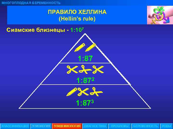 МНОГОПЛОДНАЯ БЕРЕМЕННОСТЬ ПРАВИЛО ХЕЛЛИНА (Hellin’s rule) Сиамские близнецы - 1: 107 1: 872 1: