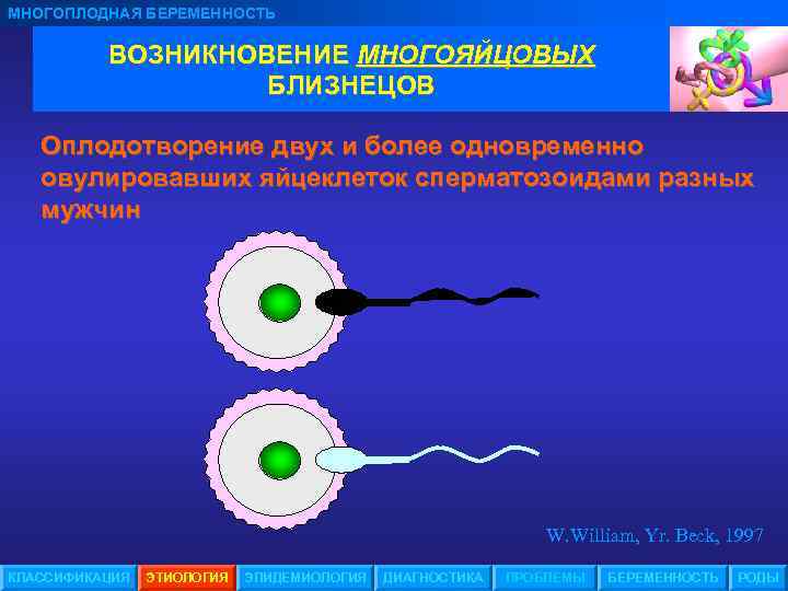 МНОГОПЛОДНАЯ БЕРЕМЕННОСТЬ ВОЗНИКНОВЕНИЕ МНОГОЯЙЦОВЫХ БЛИЗНЕЦОВ Оплодотворение двух и более одновременно овулировавших яйцеклеток сперматозоидами разных