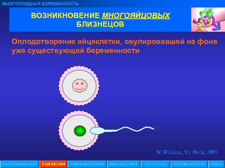 МНОГОПЛОДНАЯ БЕРЕМЕННОСТЬ ВОЗНИКНОВЕНИЕ МНОГОЯЙЦОВЫХ БЛИЗНЕЦОВ Оплодотворение яйцеклетки, овулировавшей на фоне уже существующей беременности W.