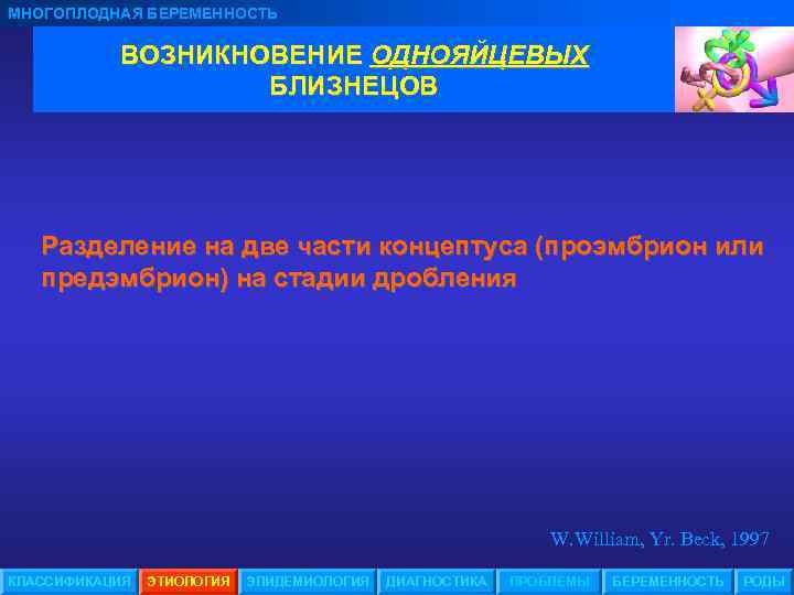 МНОГОПЛОДНАЯ БЕРЕМЕННОСТЬ ВОЗНИКНОВЕНИЕ ОДНОЯЙЦЕВЫХ БЛИЗНЕЦОВ Разделение на две части концептуса (проэмбрион или предэмбрион) на