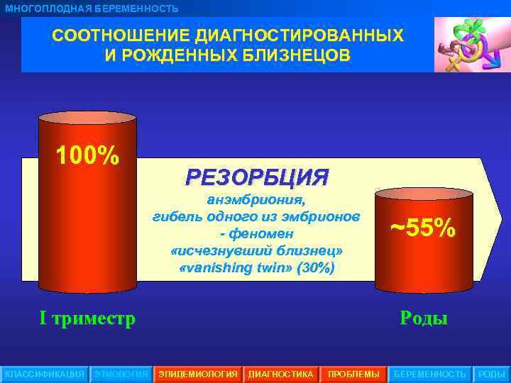 МНОГОПЛОДНАЯ БЕРЕМЕННОСТЬ СООТНОШЕНИЕ ДИАГНОСТИРОВАННЫХ И РОЖДЕННЫХ БЛИЗНЕЦОВ 100% РЕЗОРБЦИЯ анэмбриония, гибель одного из эмбрионов