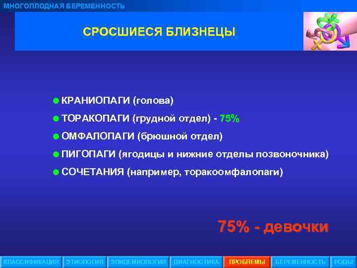 МНОГОПЛОДНАЯ БЕРЕМЕННОСТЬ СРОСШИЕСЯ БЛИЗНЕЦЫ =КРАНИОПАГИ (голова) =ТОРАКОПАГИ (грудной отдел) - 75% =ОМФАЛОПАГИ (брюшной отдел)