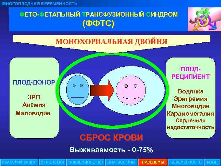 МНОГОПЛОДНАЯ БЕРЕМЕННОСТЬ ФЕТО-ФЕТАЛЬНЫЙ ТРАНСФУЗИОННЫЙ СИНДРОМ (ФФТС) М О Н О Х О Р И