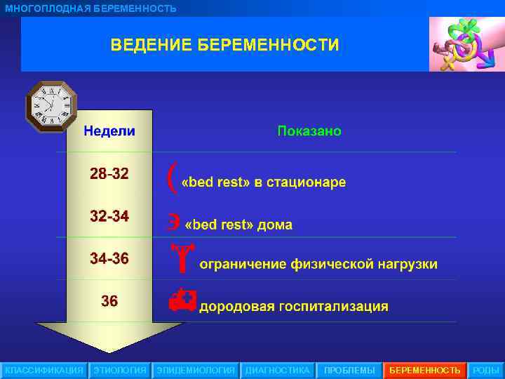 МНОГОПЛОДНАЯ БЕРЕМЕННОСТЬ ВЕДЕНИЕ БЕРЕМЕННОСТИ КЛАССИФИКАЦИЯ ЭТИОЛОГИЯ ЭПИДЕМИОЛОГИЯ ДИАГНОСТИКА ПРОБЛЕМЫ БЕРЕМЕННОСТЬ РОДЫ 