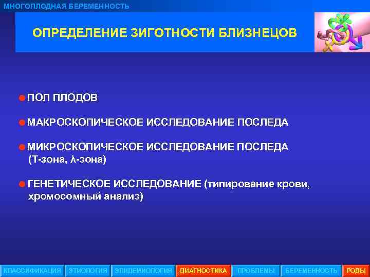 МНОГОПЛОДНАЯ БЕРЕМЕННОСТЬ ОПРЕДЕЛЕНИЕ ЗИГОТНОСТИ БЛИЗНЕЦОВ =ПОЛ ПЛОДОВ =МАКРОСКОПИЧЕСКОЕ ИССЛЕДОВАНИЕ ПОСЛЕДА =МИКРОСКОПИЧЕСКОЕ ИССЛЕДОВАНИЕ ПОСЛЕДА (Т-зона,