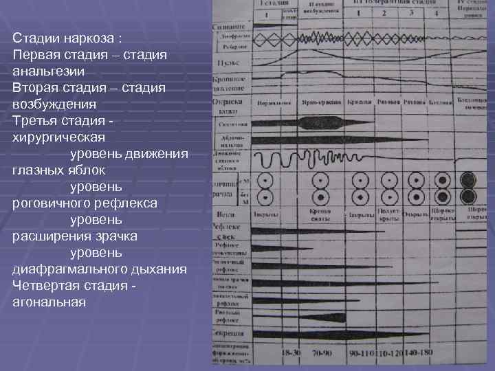Стадии наркоза : Первая стадия – стадия анальгезии Вторая стадия – стадия возбуждения Третья